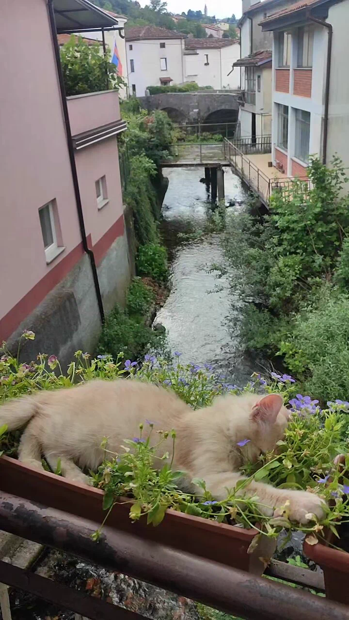 ジブリのワンシーンみたい

 https://t.co/ygMXXCN33p