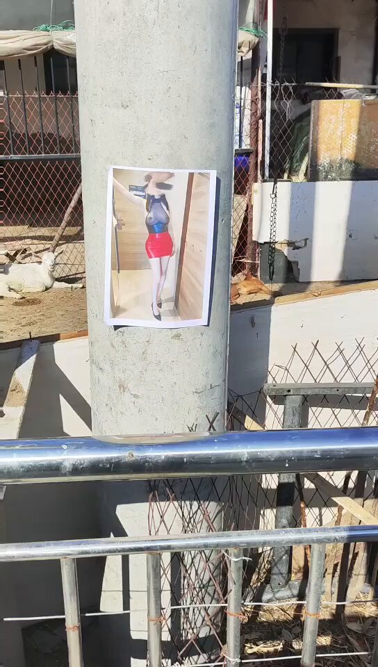 Roxy户外投稿（3）
这次又被可爱的粉丝宝宝贴在农村的骚膻的羊圈旁电线杆上……让姐姐露着奶子骚照片陪着懒羊羊和狗子🐶吧！
不知道被羊倌儿老头看到会不会偷偷撕下来收藏起来晚上舔姐姐？
⭐特别投稿征集，欢迎粉丝宝宝踊跃参与！
【大号不定时删推，所有完整版原创内容都在私推永久保存，欢迎订阅】 https://t.co/BtP2UjdIEx