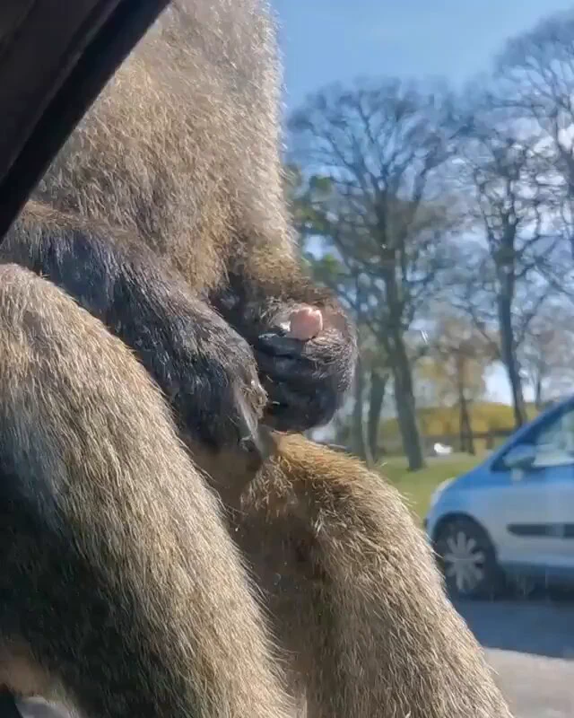 amazimg！！！ https://t.co/XOZnIAwDdE