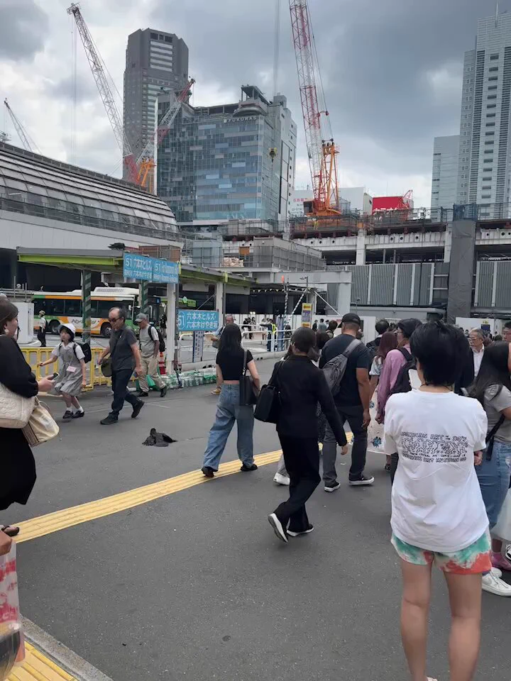 在日本的街道上意外錄到🐦‍⬛😱😱😱港覺好痛… https://t.co/aQz0O29i02