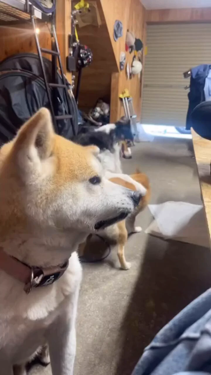 https://t.co/5VUTkgzMvk