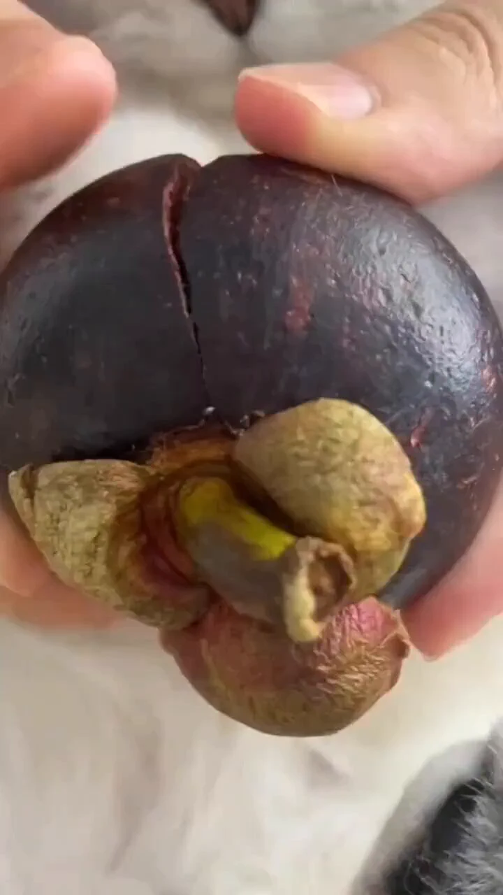 Name this fruit. https://t.co/XSHqavlWor