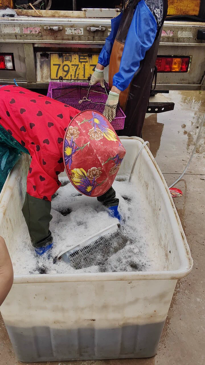 One shrimp can produce 300000 small shrimp at a time, which can be eaten in three months. The profit margin is too high, isn't it? https://t.co/BjOzjestu1