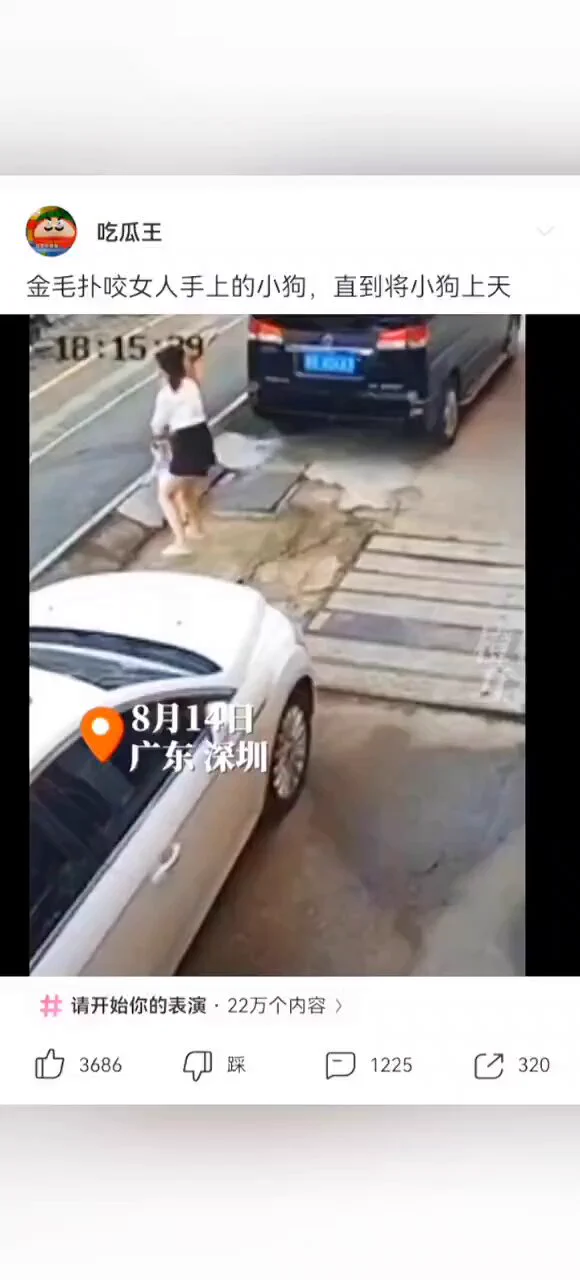 每年我都要复读一遍：养狗不拴绳死全家养狗不拴绳死全家养狗不拴绳死全家养狗不拴绳死全家养狗不拴绳死全家养狗不拴绳死全家养狗不拴绳死全家养狗不拴绳死全家 https://t.co/50ukhSng6L