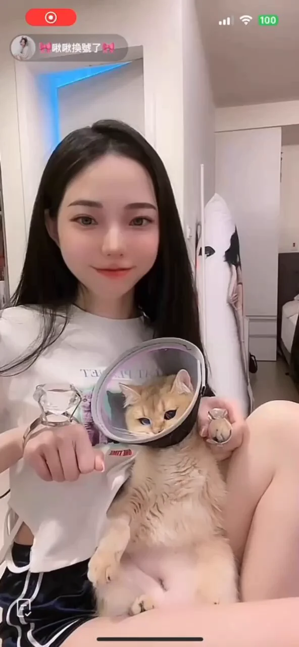 最近直播大家一直敲碗小寶貝🐈難道我要變成小寶貝的助理了嗎🎀每晚10:30pm 抖音直播～ https://t.co/waHavqcCQr🎀更多啾啾社群連結https://t.co/VcMjs2nUJV https://t.co/Gx4lGpyOyc