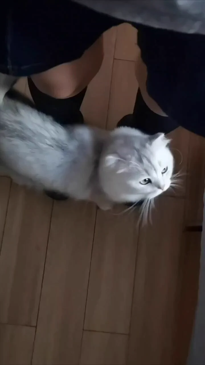 他碰瓷！ https://t.co/hUIw0E5zMb