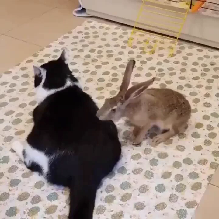 Massage time.. 😅 https://t.co/DNIh7TKrzC