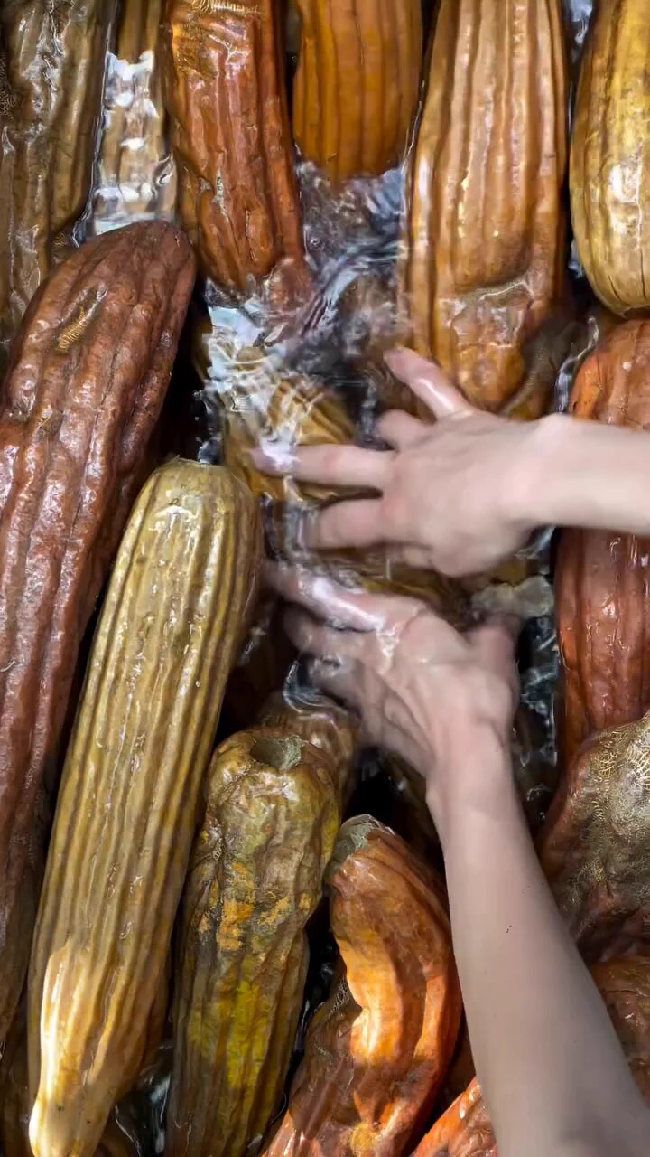 Loofah’s being naturally occurring will never sit right with me https://t.co/OXMItrwXya