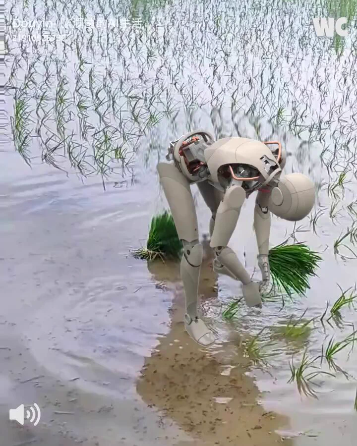 Terminator's son takes up farming.https://t.co/SAsEvodfx3