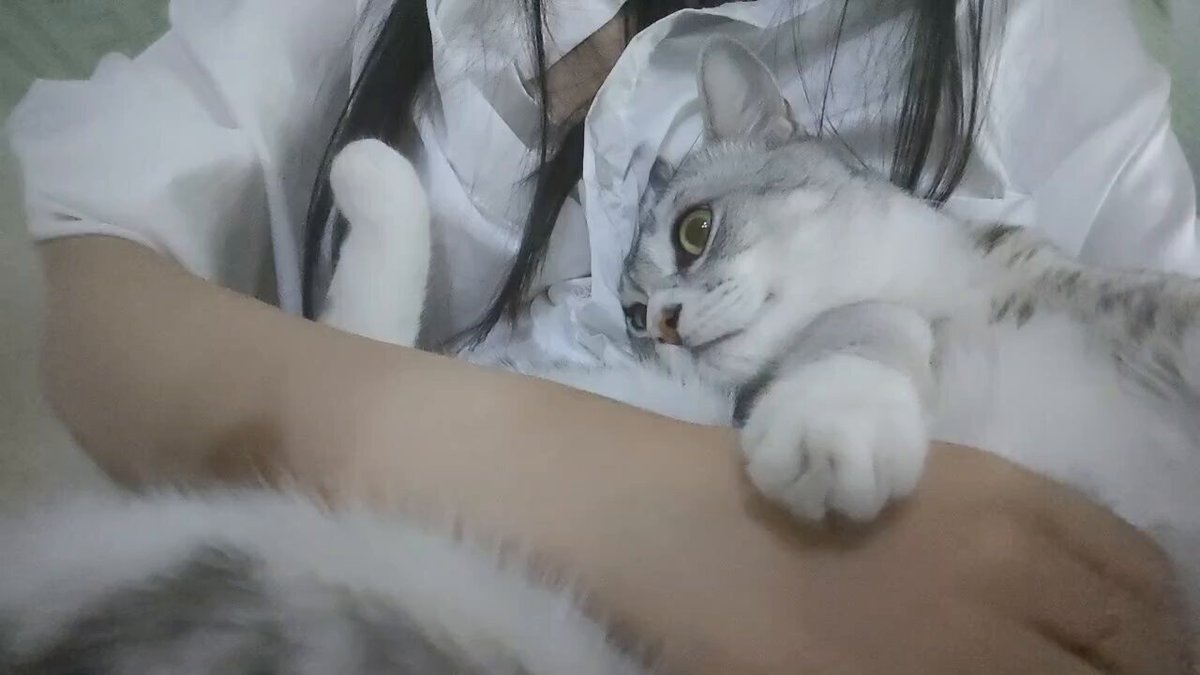 抱一下死不情愿 https://t.co/0S9jZEKKIC