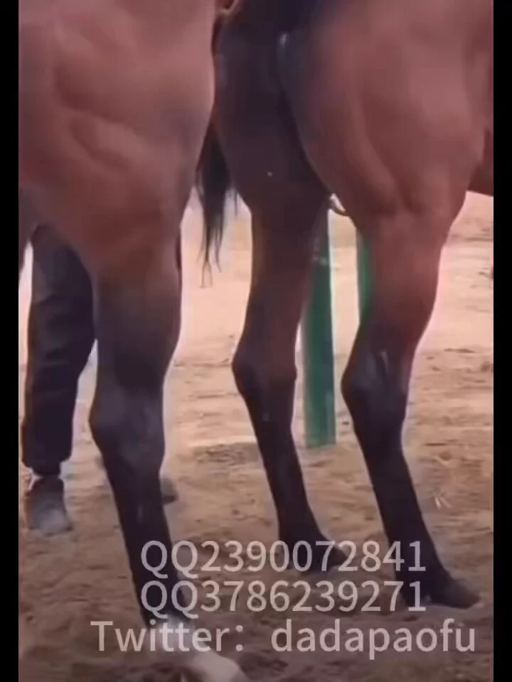 @hsh6669 我要带着我配音的兽交走遍天涯💢💢💢💢 https://t.co/5nJCshbATS