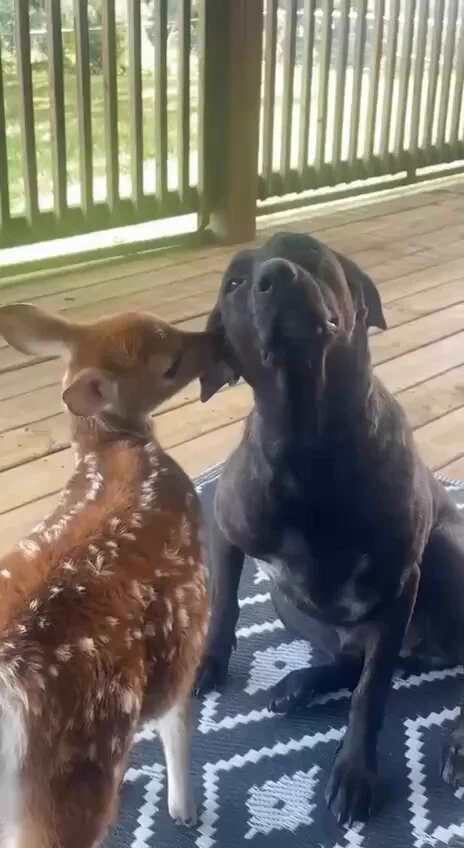 timeline cleanse https://t.co/PrPSXqyTku