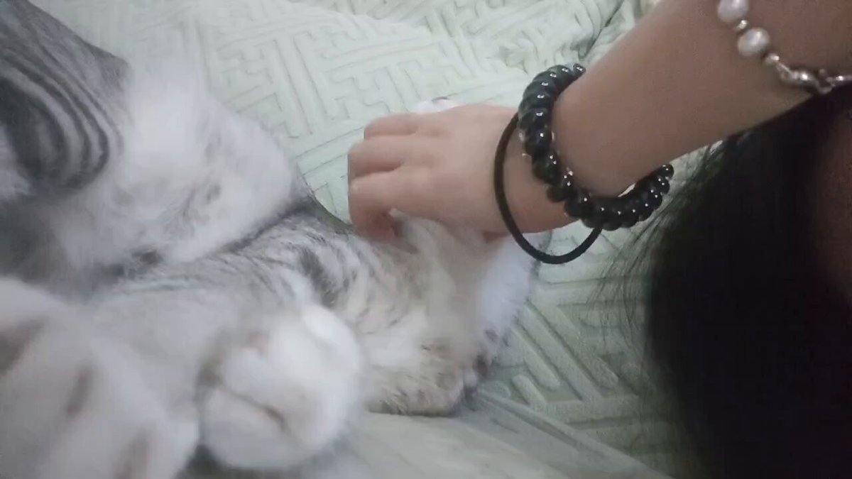 小猪猪哼唧 https://t.co/PKMkllOWX5