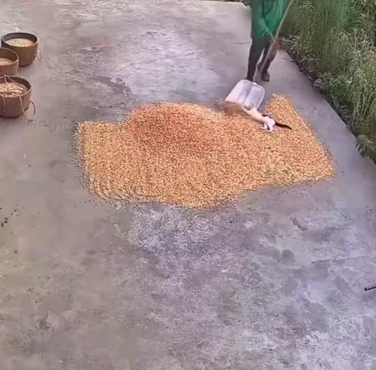 Helping. https://t.co/9LH5MbcfXt