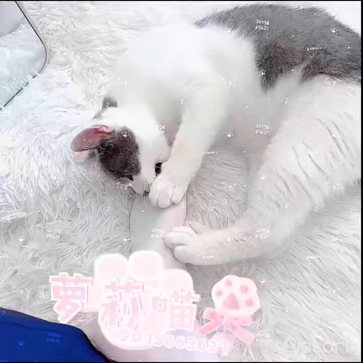 休息休息😴 https://t.co/5iNY5Abitc