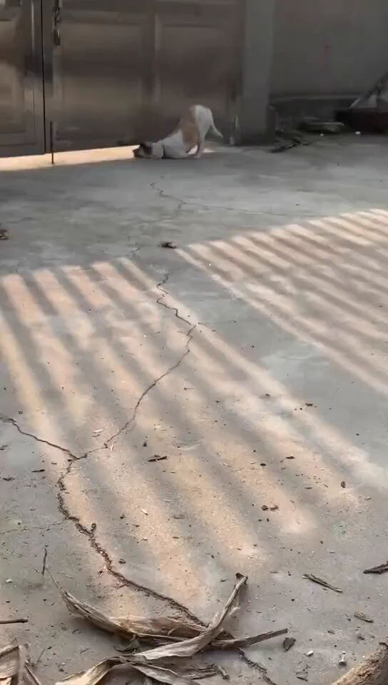 這是渴望下班的我ಥ_ಥ https://t.co/3BVMC3rSkn