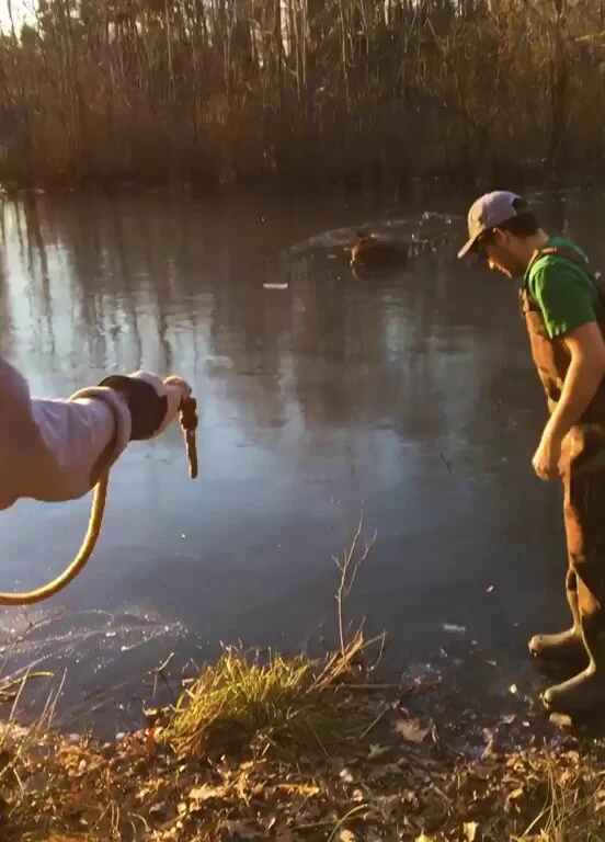 Kind family helps a fawn stuck in a frozen pondhttps://t.co/2bsPALveXs