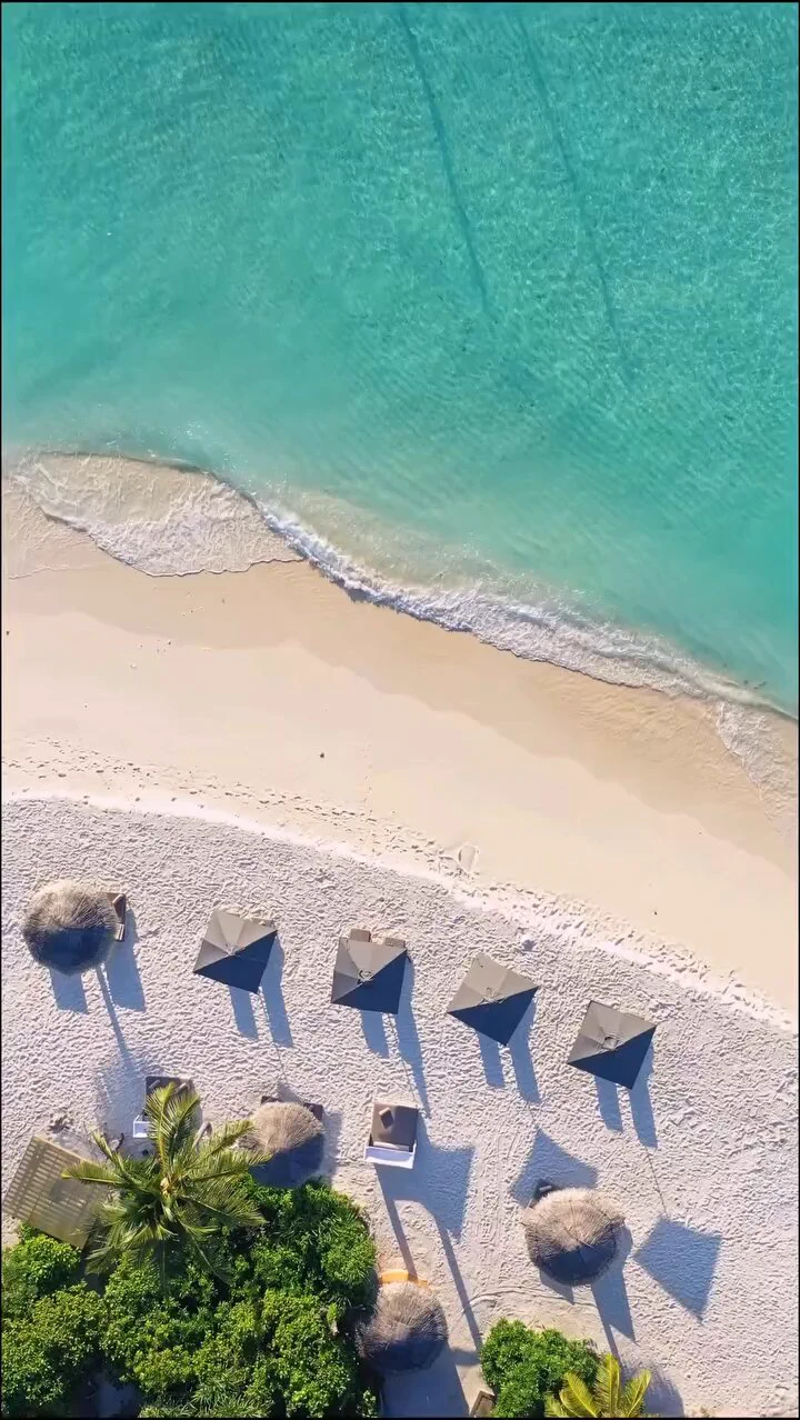 https://t.co/5dn7LFegps