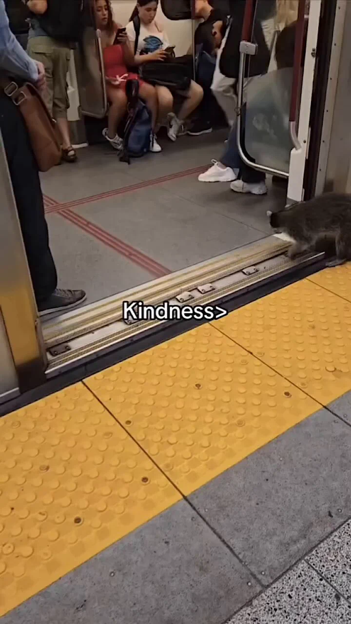 Kindness matters ❤️ https://t.co/UvCpeC2d6I