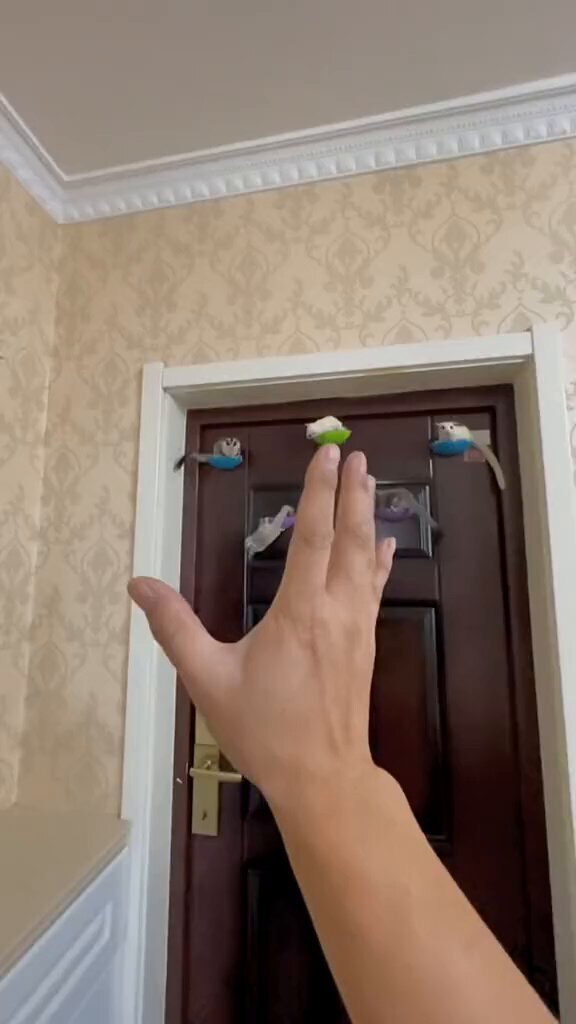 The landing.. 😊 https://t.co/U6gtOGdxvg