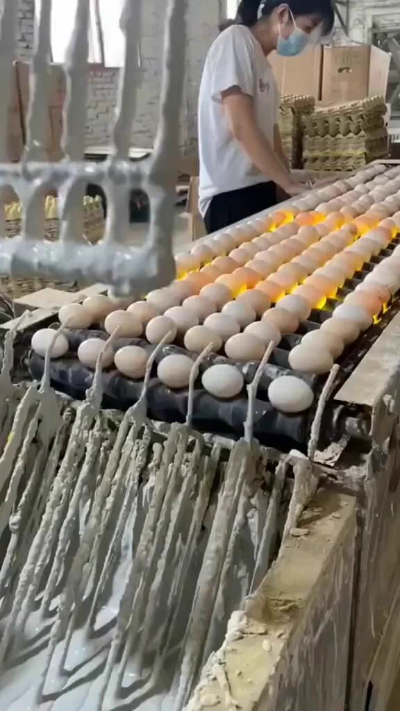 https://t.co/5YTmeUCV9Q