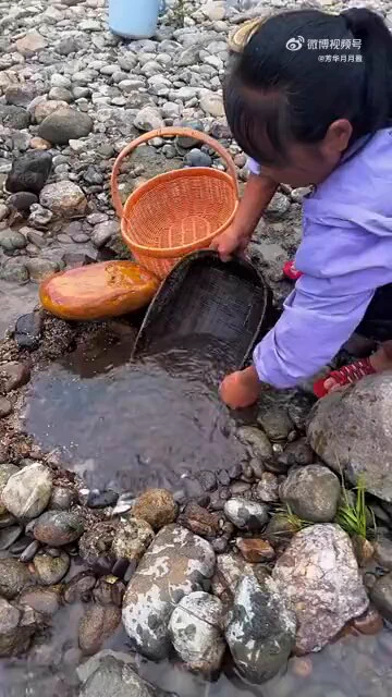 猜猜这是什么鱼？ https://t.co/sHo4STavp2