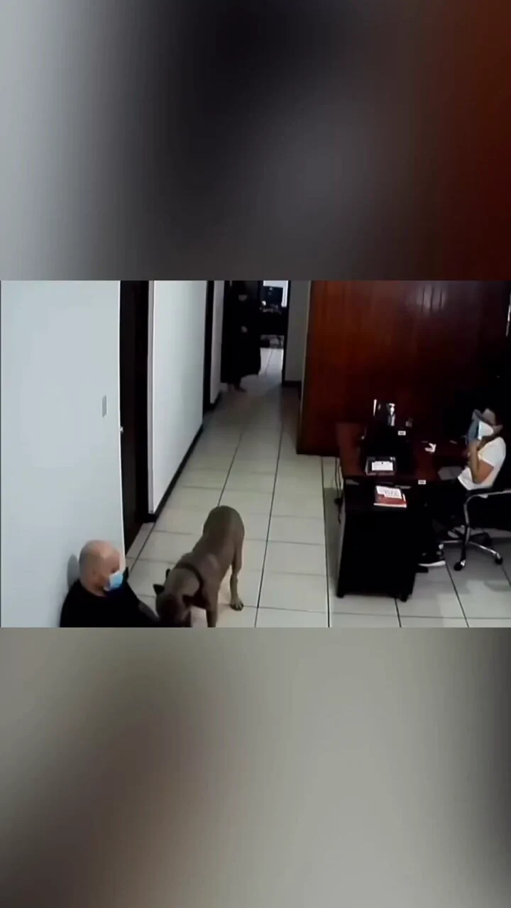 https://t.co/dGptCC9Q87