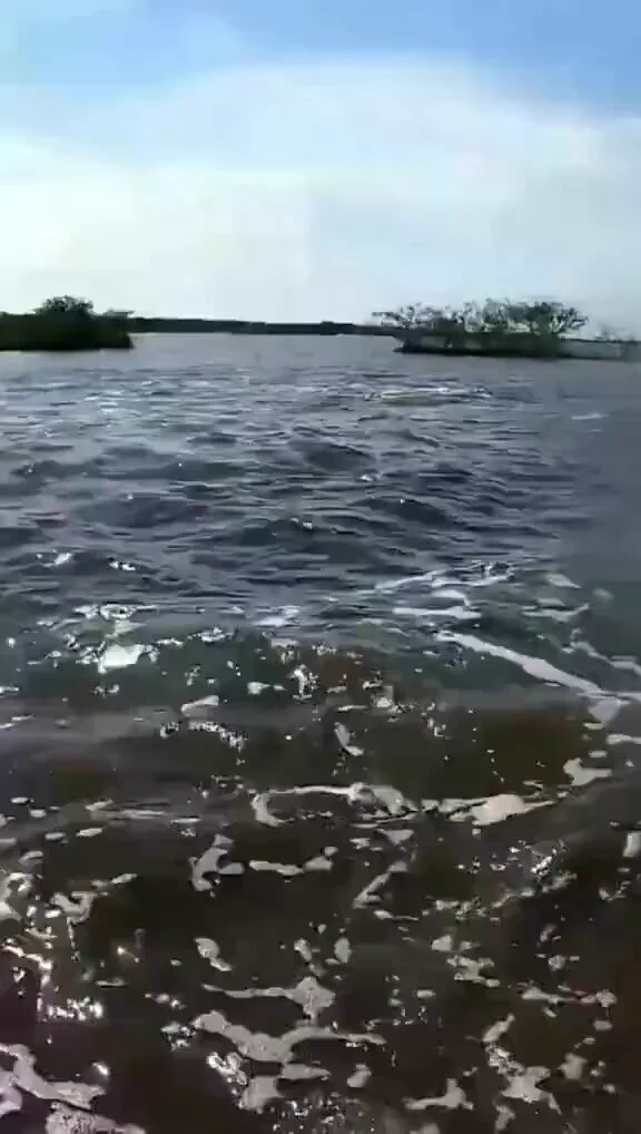 What is happening here....😳 https://t.co/g1rrDw0f61