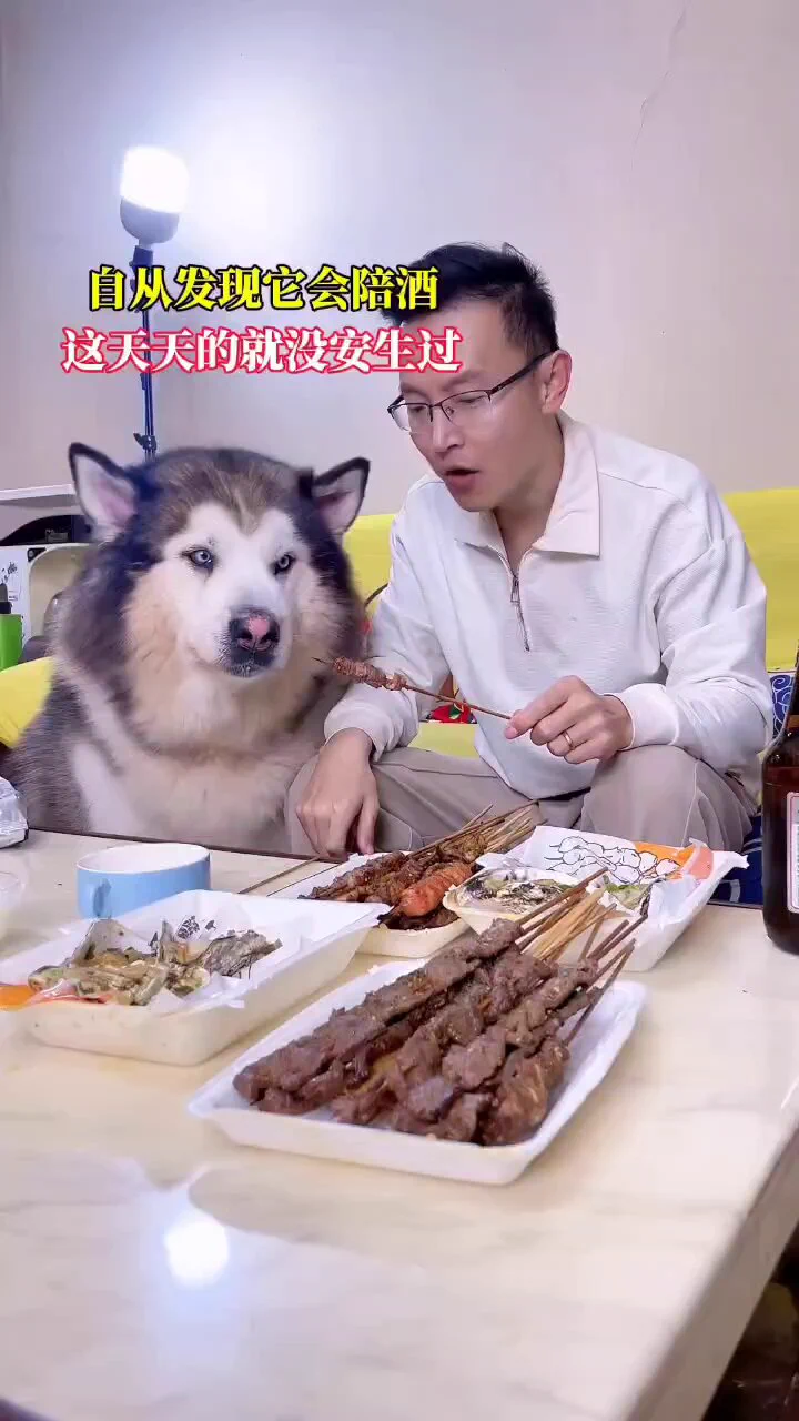 自从发现它会陪酒，这天天的就没安生过🥰 https://t.co/uN1CS2vgVp