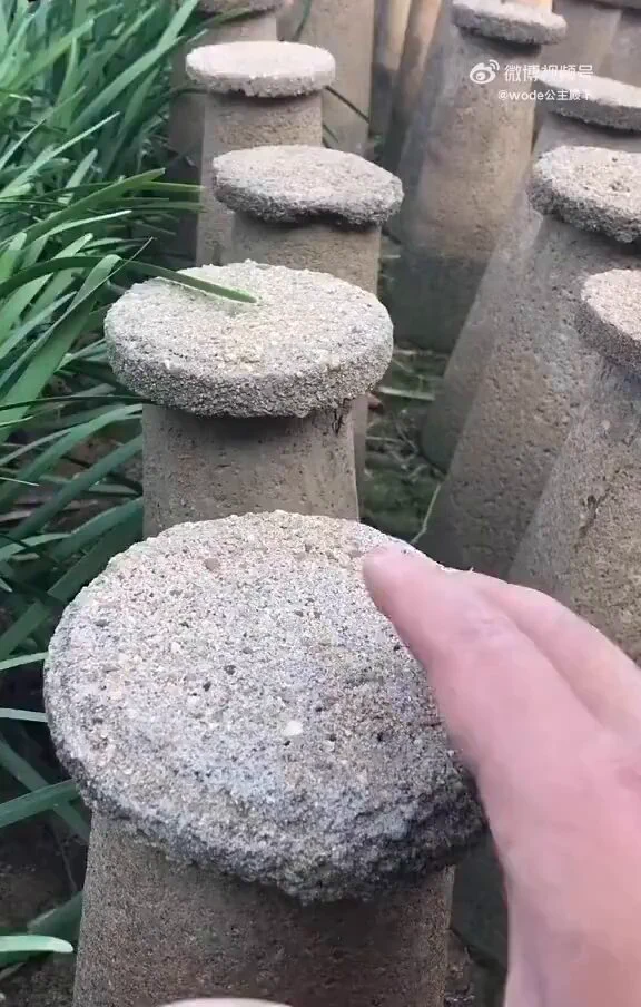 听说韭菜和韭黄的区别就是一个晒太阳，一个不晒太阳，这是真的吗 https://t.co/FnHcvBHd6k