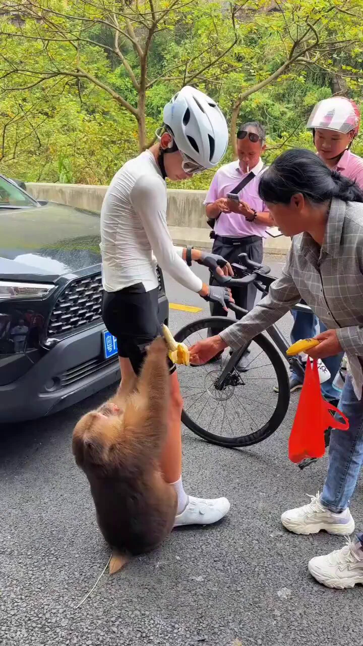 这种猴子好讨厌，以后坚决不去类似的地方。。。https://t.co/ZmpXkIoZBp