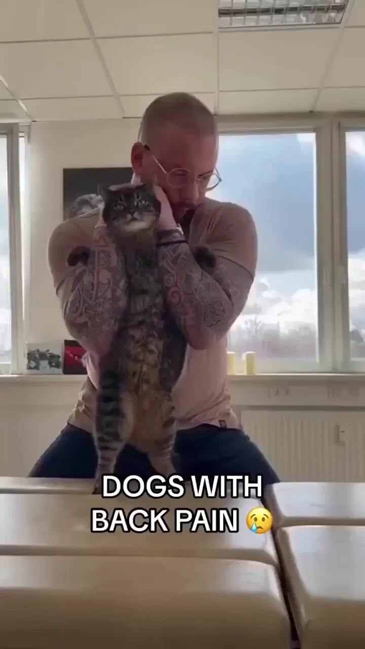 I am never letting this guy near my pet 😭 https://t.co/sWntoCx3LN