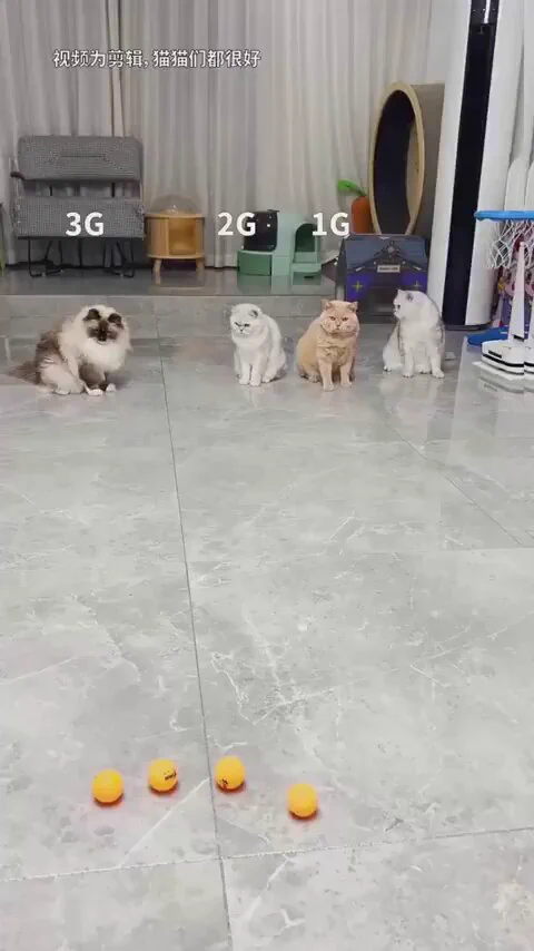 Which G are you?Me 5G https://t.co/EOGPGLewaP