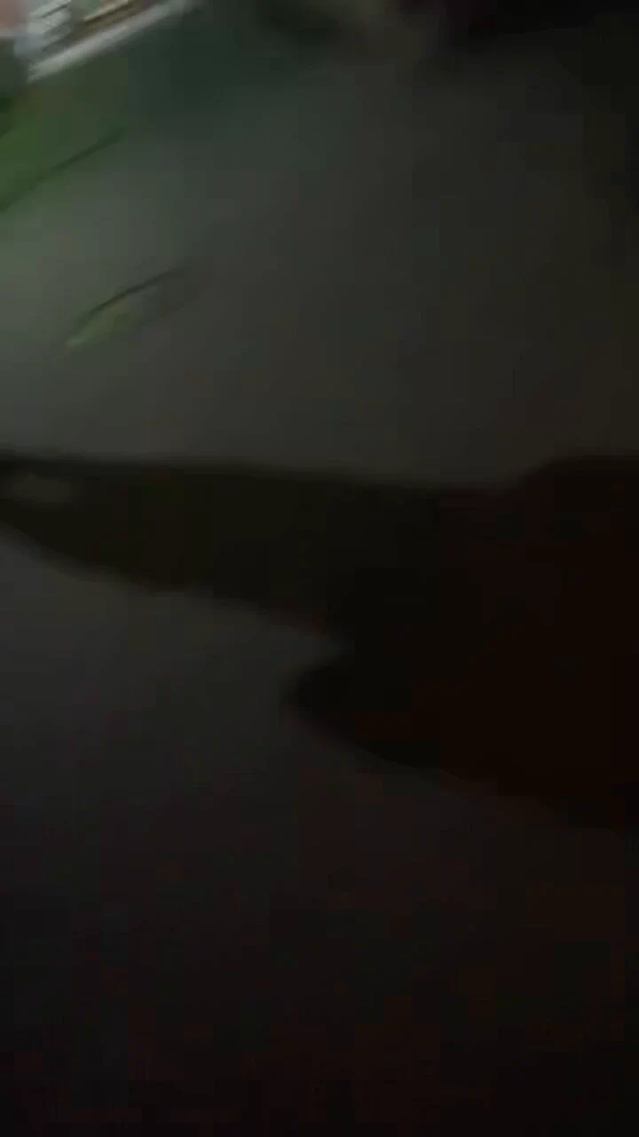 #站街 #金华 大智街13号附近的几条小巷子，这里的规模还是可以的，几条巷子里大概有一二十个。 https://t.co/lfS0rCBj7S