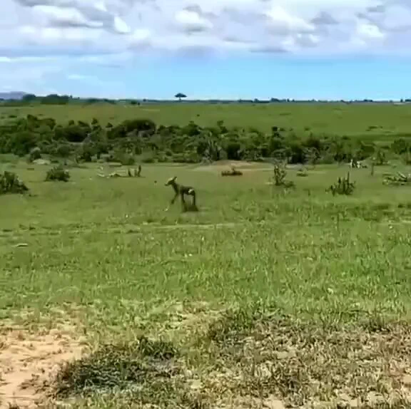 Mothers are the best 🔥🔥 https://t.co/jp1YNJ533y