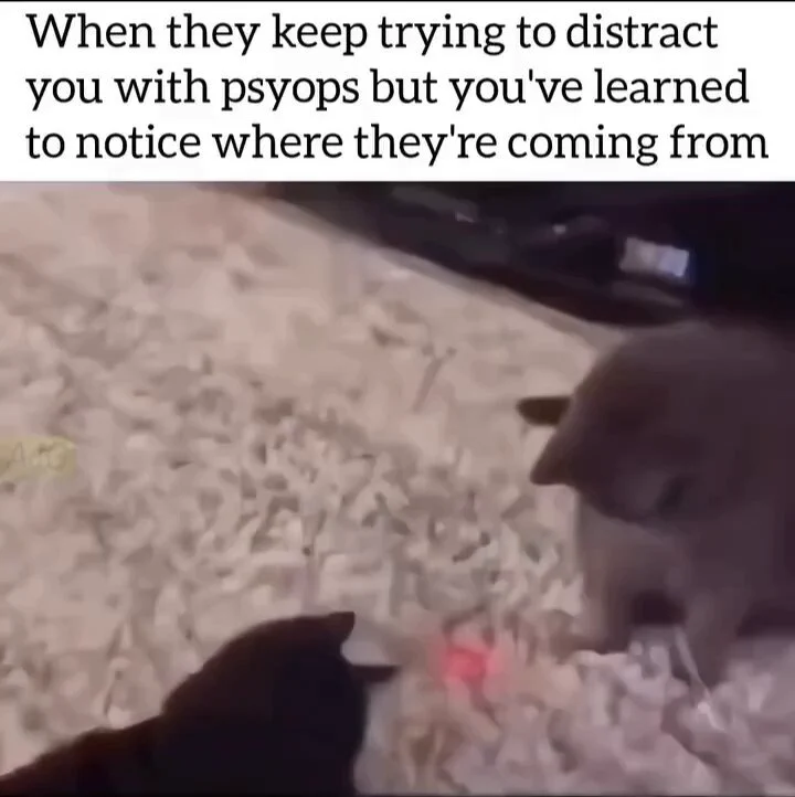https://t.co/NvxJjxALJL