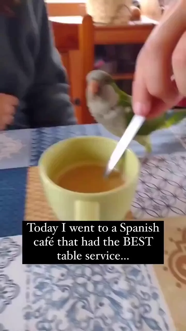 The way he straightened the spoon after like "enjoy" 😄 https://t.co/m3aaaIpY1k