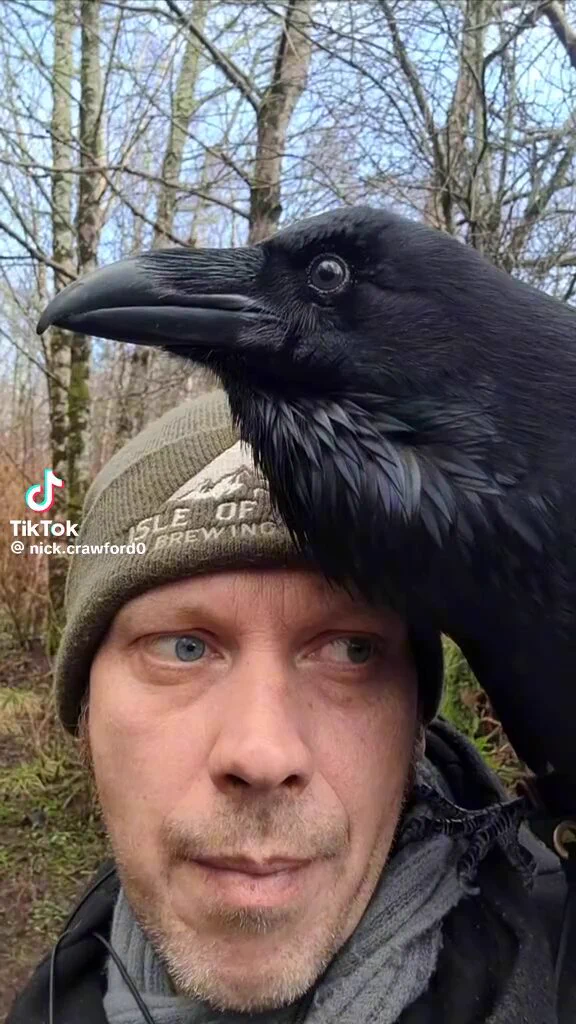 If I heard a raven saying tickle tickle in the dark like that I’d be terrified https://t.co/Ow4NXDfZAg