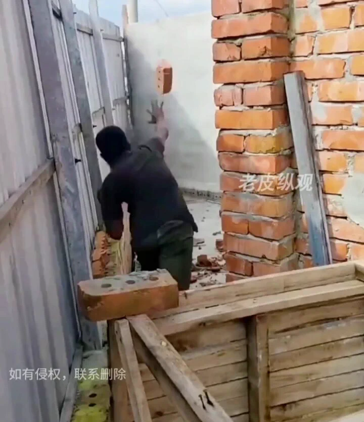 我以为所有印度男人都敢强暴蜥蜴呢，这个咋不敢呢？！😂😂 https://t.co/jXAE7VbflY