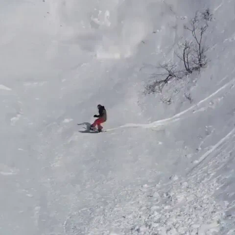 Snow rabbit running over an avalanche.https://t.co/hfxwE7f9ZV