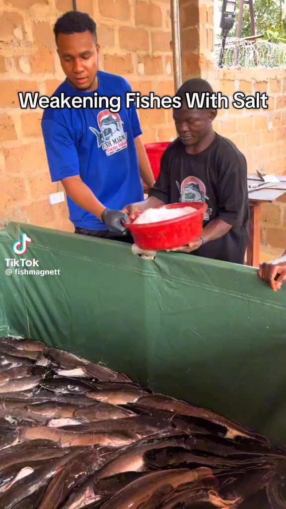 This is being Inhumane! https://t.co/mz6v6JyzJp