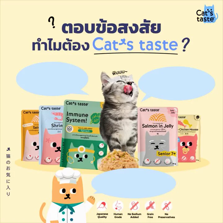 💬 เคยสงสัยไหม? ทำไมน้องแมวถึงหลงรัก Cat’s taste 💕🐾 อร่อยเต็มคำ สุขภาพปังสุด!ด้วยวัตถุดิบ Human Grade คุณภาพระดับคนทาน ทั้งปลอดภัยและดีต่อสุขภาพ ไม่ว่าจะเป็นน้องแมวเด็ก วัยซน หรือรุ่นใหญ่ Senior 7+ ก็สุขภาพดีได้ทุกช่วงวัย!🍣 รสชาติเป๊ะปัง ไม่มีเบื่อ!น้องๆ จะได้เพลินไปกับรสชาติที่หลากหลาย ทั้งแซลมอนในเยลลี่ หอยเชลล์เด้งๆ และ Shrimp สุดฟิน ฟาดได้หมดทุกมื้อ🛡️ มั่นใจทุกคำไร้โซเดียมเติมแต่ง ไม่มีสารกันเสีย และ Grain-Free บอกเลยว่าแม้แต่ทาสอย่างเราก็วางใจได้เต็มร้อย!เพราะเราใส่ใจทุกคำที่น้องๆ ได้ทาน ❤️ มอบสิ่งที่ดีที่สุดให้น้องแมวที่คุณรักกันได้แล้ววันนี้ จิ้มลย!🧡 Shopee: https://t.co/e9SPk0YP1n💜 Lazada: https://t.co/VHr4NfmsT9❤️ Tiktok : https://t.co/qt01Hq1vDH#CatsTaste#CatsTasteคิดมาแล้วให้แมวLove#แมว #อาหารแมว #ทาสแมว