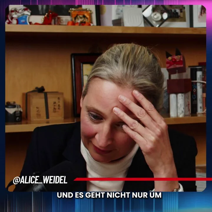 "Deutschland hat die höchsten Steuern von allen OECD-Ländern. Der normale deutsche Arbeitnehmer arbeitet mehr als die Hälfte des Jahres für den Staat, das müssen Sie sich vorstellen.""Germany has the highest taxes of all OECD countries. So the normal German employee works more that half of the year for the state, you have to imagine that."