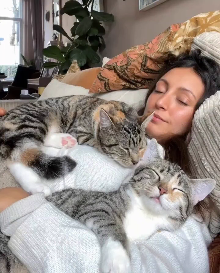 The life I want https://t.co/aQ53EdsPwY