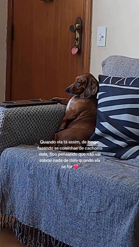 https://t.co/0mU96SwNrS