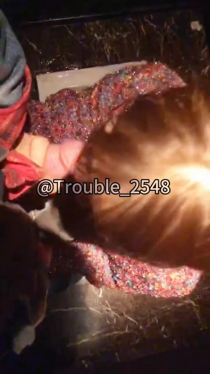 【Trouble原创】翻到了以前的视频，应该是21年04女大学生在男厕所给我口当时很紧张，第一次玩现在回想起来还是很刺激骚货喜欢玩刺激的，厕所给我口爆了#母狗 投稿💌：@SexytoBaby @SexytoLady @SexytoGirl @SexytoDoll https://t.co/u7nVy17IoA