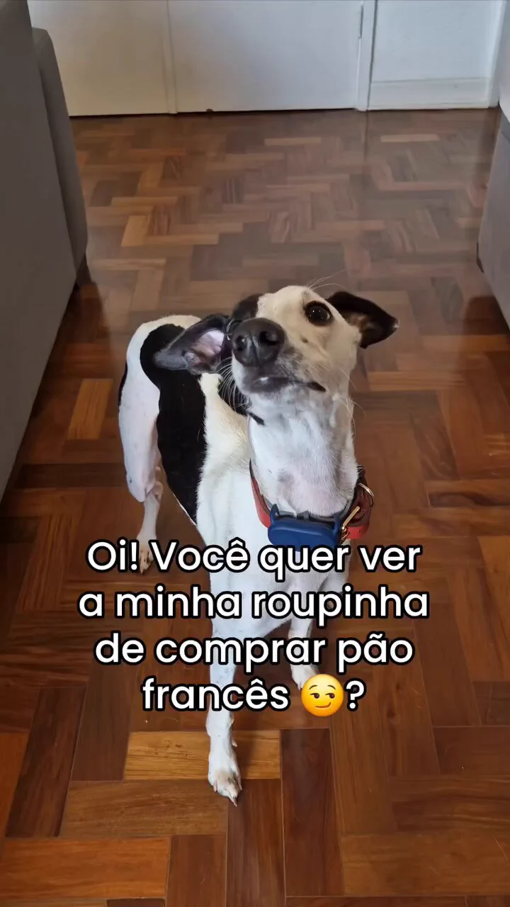 ele se arruma todinho pra comprar pão 🥹 https://t.co/AqESkALmyt