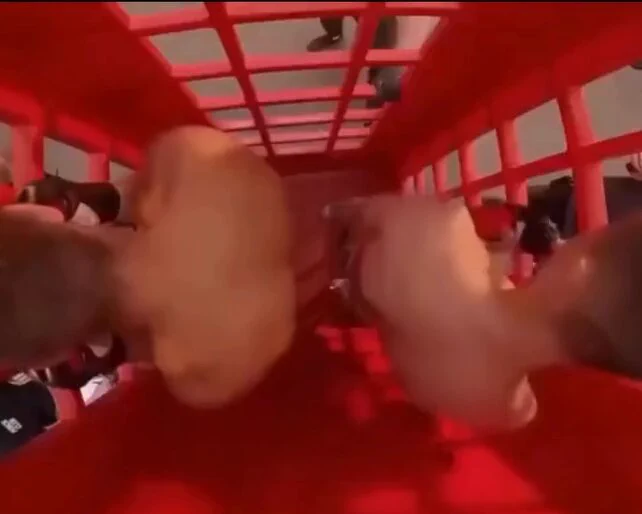 Telephone Booth boxing might be my new favorite sport https://t.co/jeweVZACSM