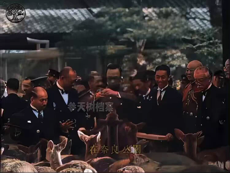 历史影像1935年，溥仪在奈良公园喂鹿。 https://t.co/eA2dTPM5CF
