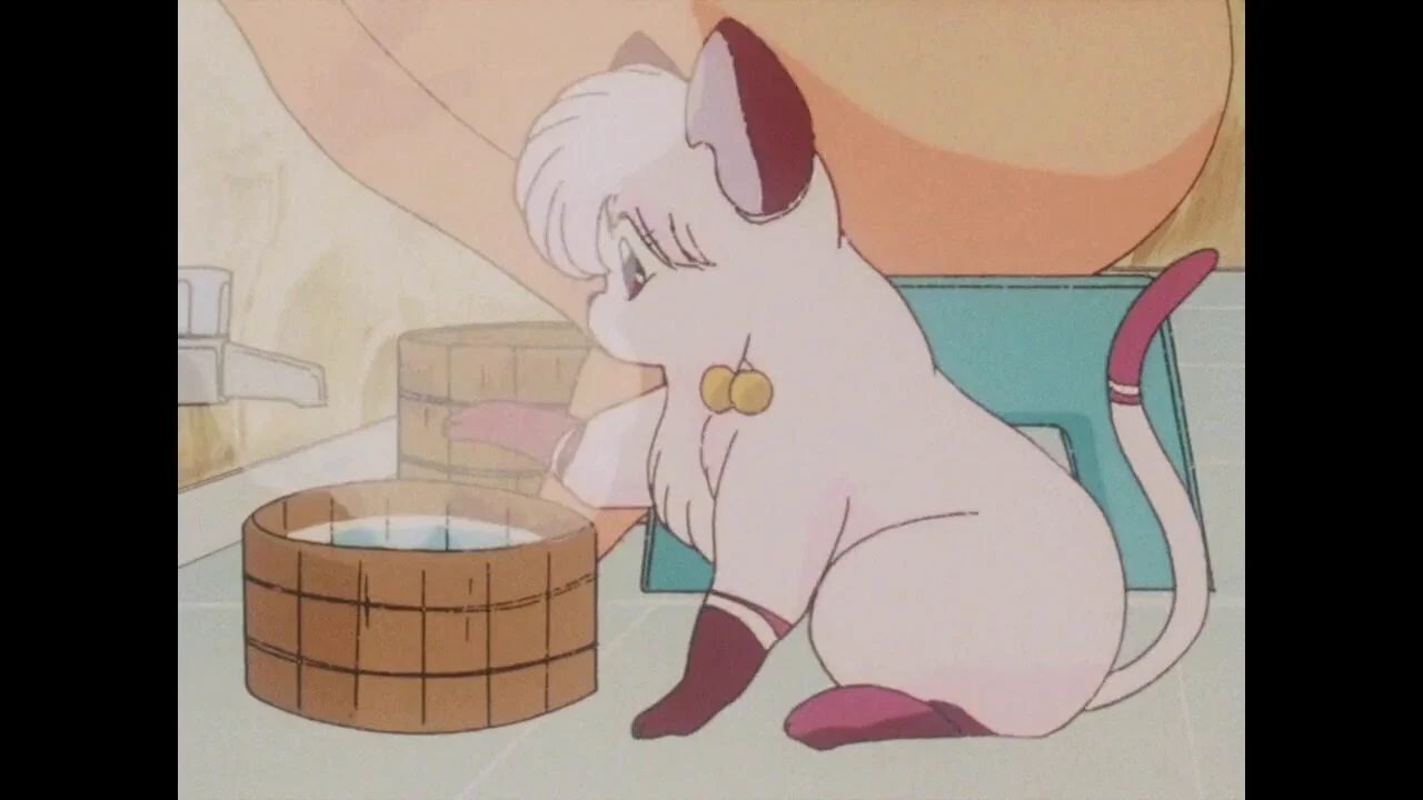 Sexy Shampoo 🥰❤️#shampoo #ranma #シャンプー https://t.co/7DO02l5OAz